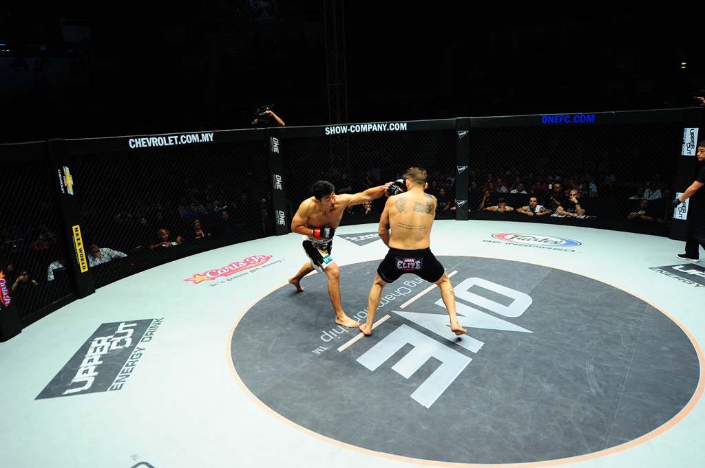 Sport of Mixed Martial Arts in France is now Officially Legal Motoph