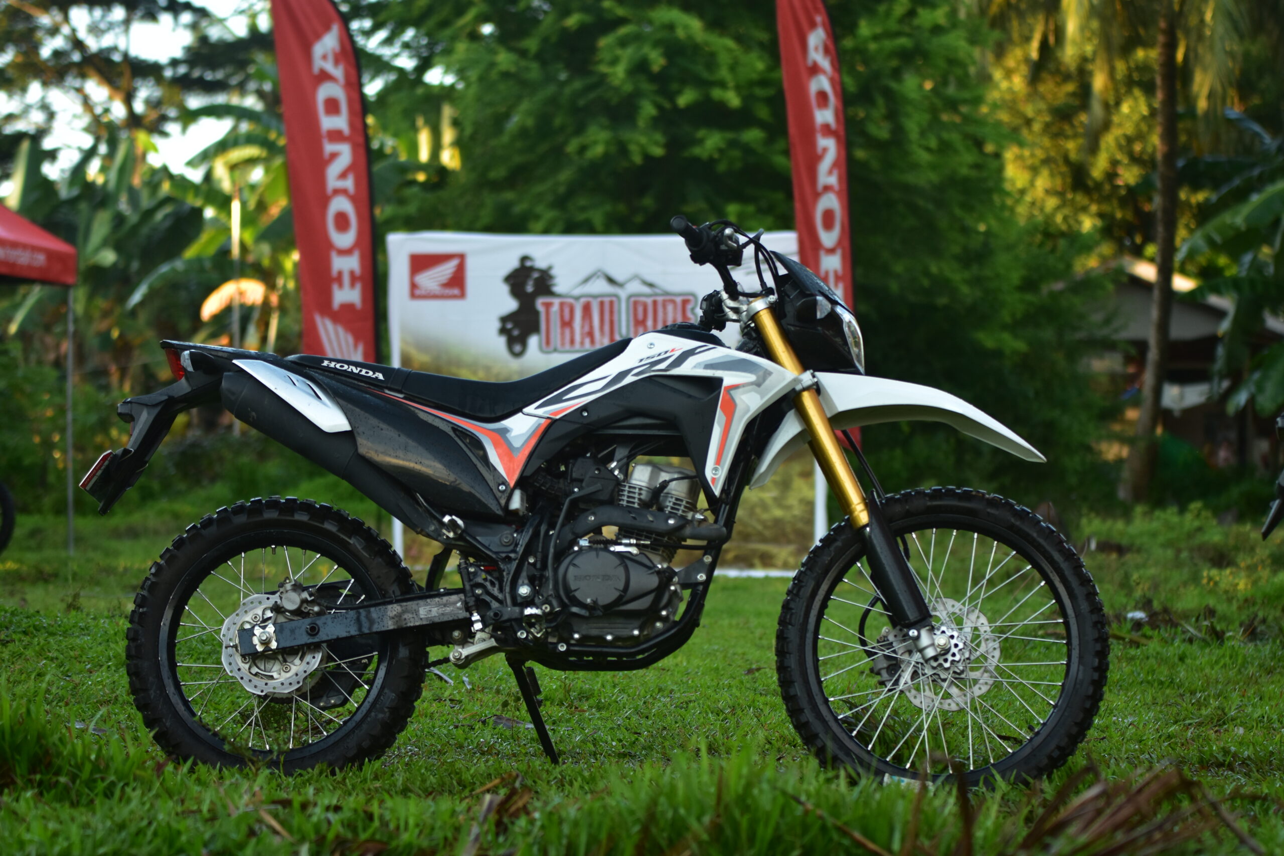 Honda trail